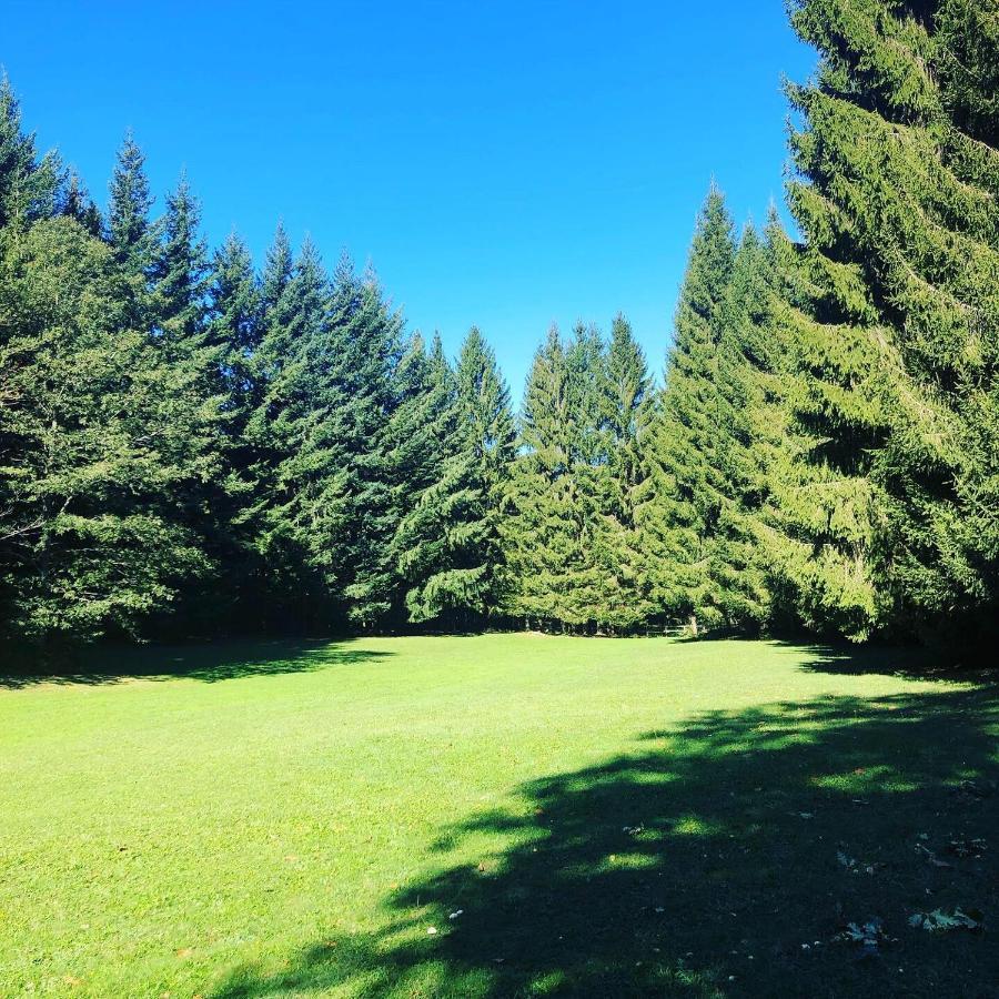 Vila Agriturismo La Casa Nel Bosco Boveglio Exteriér fotografie