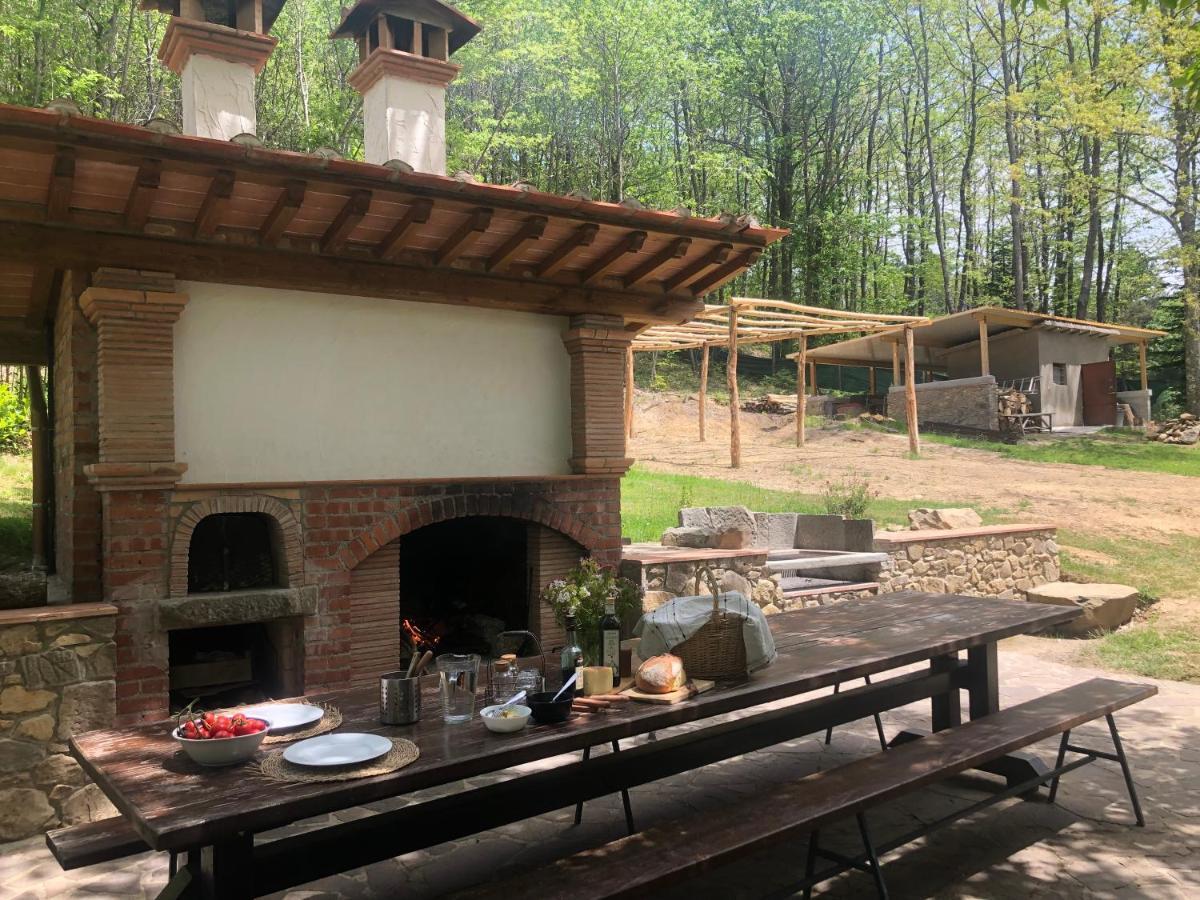 Agriturismo La Casa Nel Bosco Boveglio Exteriér fotografie